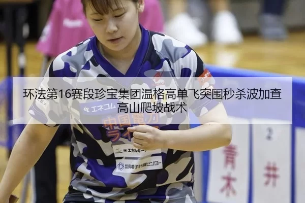 huan-fa-di-sai-duan-zhen-bao-ji-tuan-wen-ge-gao-dan-fei-tu-wei-miao-sha-bo-jia-cha-gao-shan-pa-po-zhan-shu-3-879.jpg